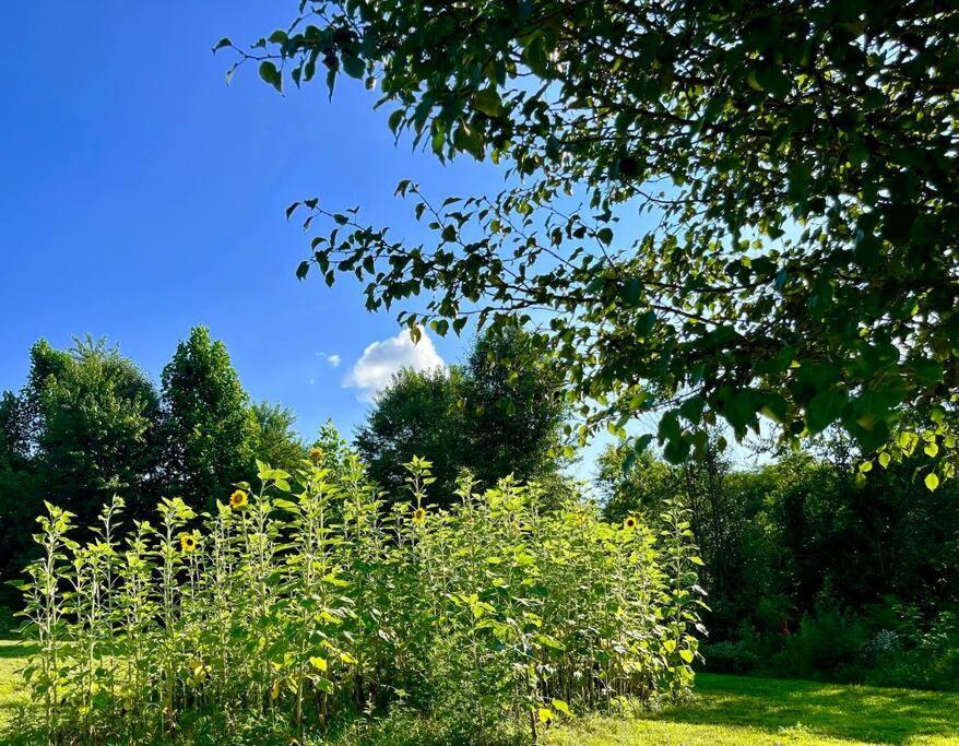 #4 Kentucky Bourbon Trail Bourbon Barrel Cottages Lawrenceburg Экстерьер фото